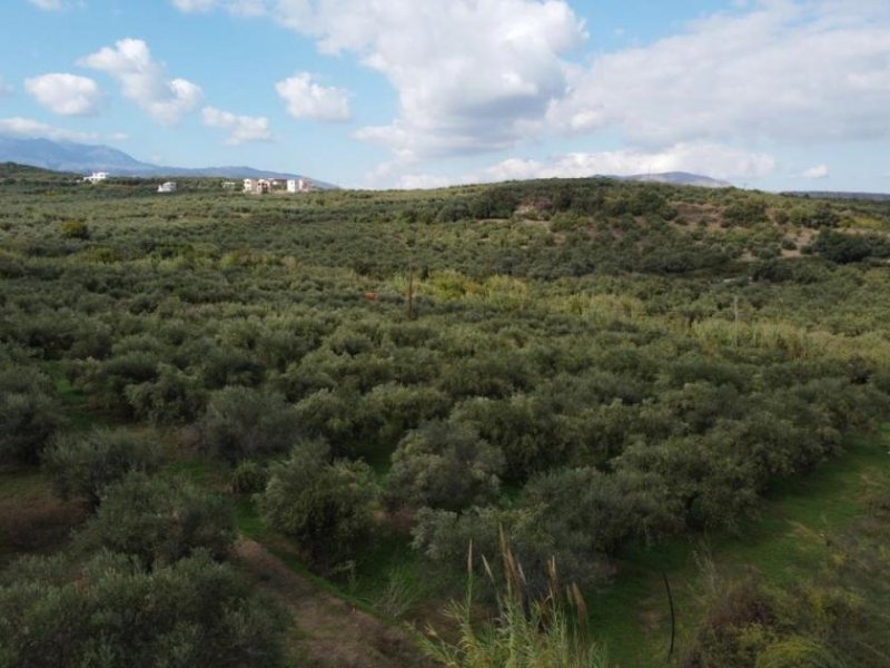 Tsivaras Kreta, Tsivaras: Grundstück zum Verkauf in Tsivaras Grundstück kaufen